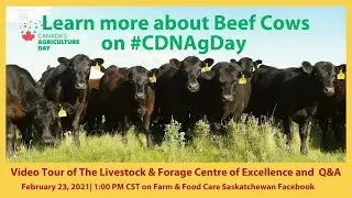 Video Tour and Q&A with the Livestock and Forage Centre of Excellence