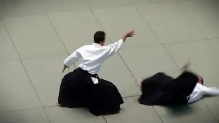 Aikido - Yasuno Masatoshi Shihan - 51st All Japan Aikido Demonstration 2013