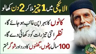 Motivational Islamic Quotes | Quotes About Life | Best Urdu Quotes | Rumi Quotes | Hazrat Ali Quotes