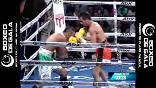 Carlos Zarate Jr. vs Salvador Carreon, 06 julio 2013. D.F., M&eacute;xico. Boxeo de Gala.