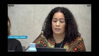 California Coastal Commissioner Effie Turnbull Sanders speaks in support of affordable housing