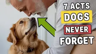 7 Acts of Love Your Dog NEVER Forgets ❤️ (You&rsquo;ll Be Shocked!)