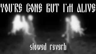 IC3PEAK - You're gone but I'm alive (slowed & reverb)