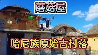 云南哈尼族原始古村落，家家户户都住蘑菇屋，万亩梯田世界奇观