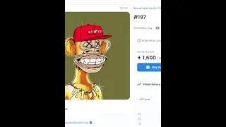 I got a bayc nft for free, 6 million dollar profit (working 2022)