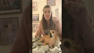 Dog SINGS Watermelon Sugar by HARRY STYLES 😂😂😂