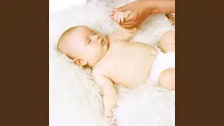 Essentials Comfort for Baby's Rest