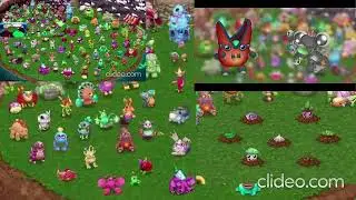 Msm Dof The Continent Collab (Credits in desc)Credits