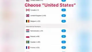 How to find auto-renewable subscription for US Numbers in Dingtone