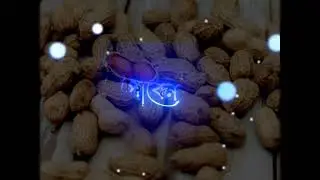 Kacha Badam Song Remix 😁 Whatsapp Status Video.........|||