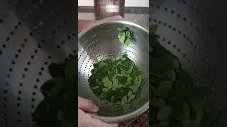 easy way to cleaning moringa leaves