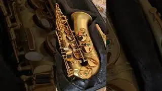 Brancher Prizm Saxophone(s)