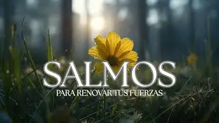 SALMOS CANTADOS para ORAR y ADORAR 🙏🕊️| Devotional and Worship