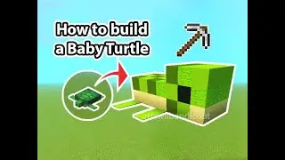 🐢 ❤️  How to build the baby turtle in Minecraft | Easy turtle Build (Java & Bedrock)