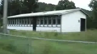 Bočinja
