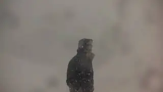 Snow storm Arcs 2017