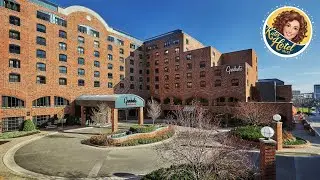 Graduate by Hilton Minneapolis | Minneapolis (MN), United States | Hotel Review ⭐