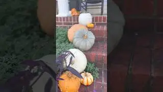 2 DAYS TILL HALLOWEEN!!:: check description! #halloween#fall#algorithm #fypシ゚viral #blowthusup