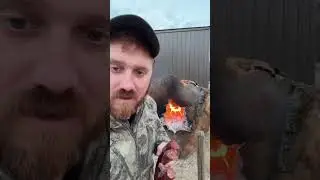 Место, где ценится только честность.