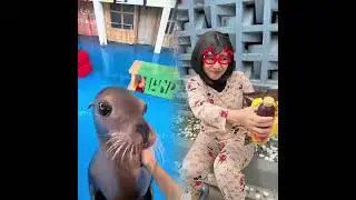 🤣👌👌👌2026 pov Must-Watch Crazy Clips Compilation #humor #fypシ #pov #fyp #foryou 😍😜