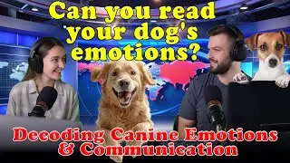 Decoding Canine Emotions and Communication🐕💪