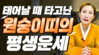 ✨원숭이띠 평생운 대공개✨ 복을 타고난 원숭이띠는 몇 년생? 2025년 변화와 기회 총정리