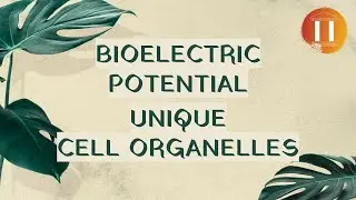 NTA UGC NET JRF | Yoga Paper 2 | Bioelectric Potential and Unique Cell Structures [English]