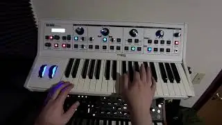 Synth Stuff Ep. 69 - Moog Little Phatty