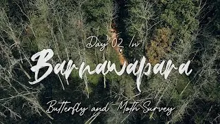 Barnawapara | Day 02 | Butterfly &  Moth Survey 2025