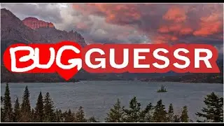 Bugguessr