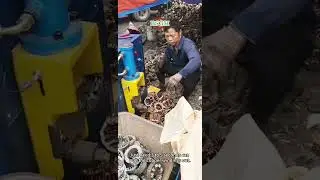 Electric Motor Copper Removal Machine | High Efficiency Motor Recycling