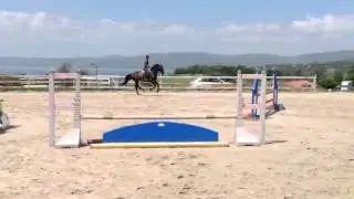 Addestramento puledri salto
