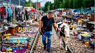 Found a COW at the flea market ?!