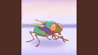 247