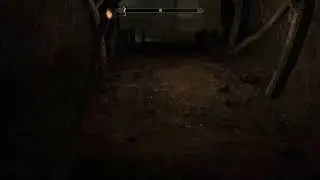 Skyrim on PS5 With Mods