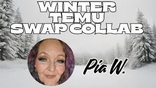 Winter Temu Swap Collab 🛍 