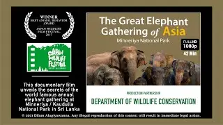 The Great Elephant Gathering of Asia | Department of Wildlife Conservation [with DWC Logo]