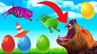Wild Animals *BATTLE ROYALE* Speed Race Simulator Lion Bear Tiger Jaguar in Planet Zoo