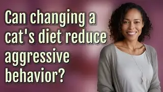 Can changing a cat's diet reduce aggressive behavior?