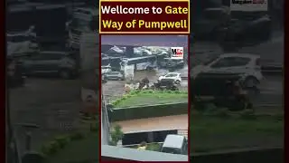 Wellcome to Gateway Of Pumpwell..! #mangalore #pumpwell #viralvideo #flyover #flood #karnataka