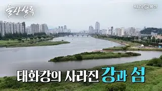 사라진 것에 대하여 태화강 [KBS울산 보물창고 - 울산실록] 25.7.1 방송