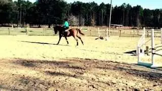 Lesson on Oliver - January 28, 2015