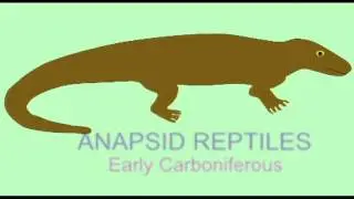 PL3_MAMMAL EVOLUTION: PELYCOSAUR TO MAMMAL TRANSITION