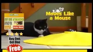 Electronic Cat Toy ! Cat Toy ! Cats Meow Toy ! As Seen On Tv !