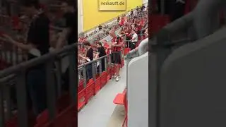 At BayArena Stadium Leverkusen ⚽️🏐