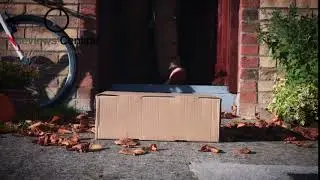 Parcelforce Delivery during Coronavirus Lockdown