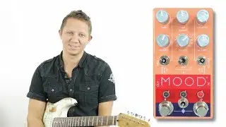 Chase Bliss Audio MOOD