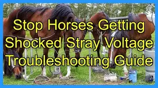 Stop Horses Getting Shocked Stray Voltage Troubleshooting Guide