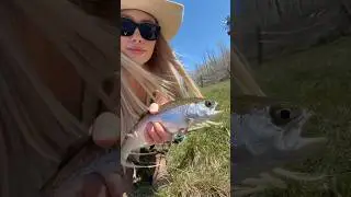 Anything pink was fire 🔥 #flyfishing #trout #howtoflyfish #howtofish