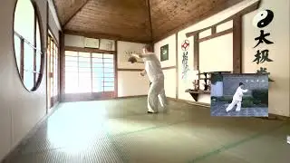 YANG ZHENDUO TAI CHI FORM - THIRD SECTION